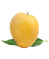 image_not_found