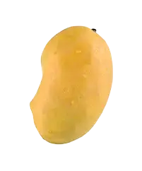 image_not_found