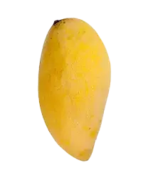 image_not_found
