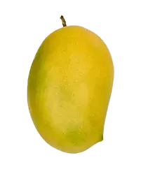 image_not_found