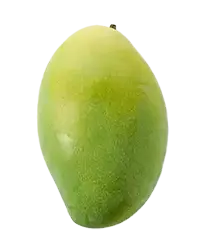 image_not_found