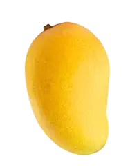 image_not_found