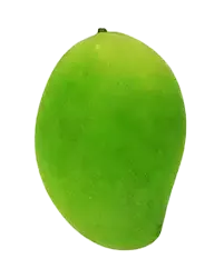 image_not_found