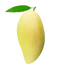image_not_found