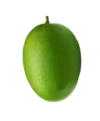 image_not_found