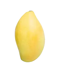 image_not_found
