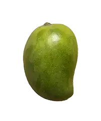image_not_found