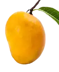 image_not_found