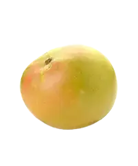 image_not_found