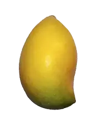 image_not_found