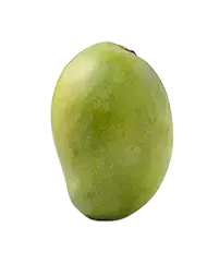 image_not_found