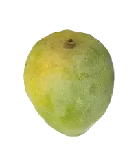 image_not_found