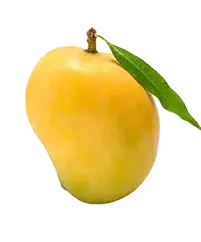 image_not_found