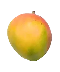 image_not_found