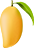 qlty5 