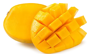 image_not_found