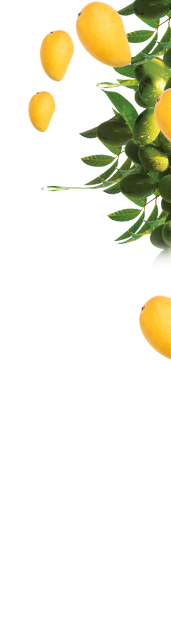 image_not_found